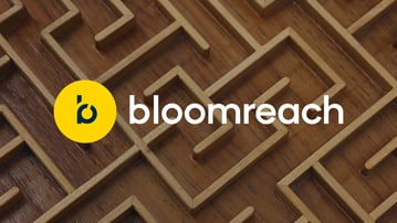 Using Bloomreach SEO for eCommerce: Features, Myths, and Solutions