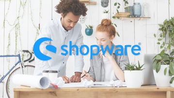 Factors to Consider When Choosing a Shopware eCommerce Agency