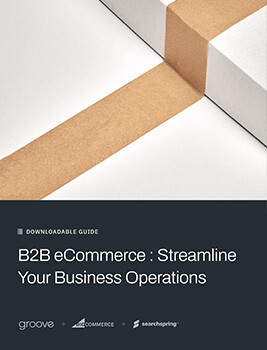 Download Guide Book - B2B eCommerce