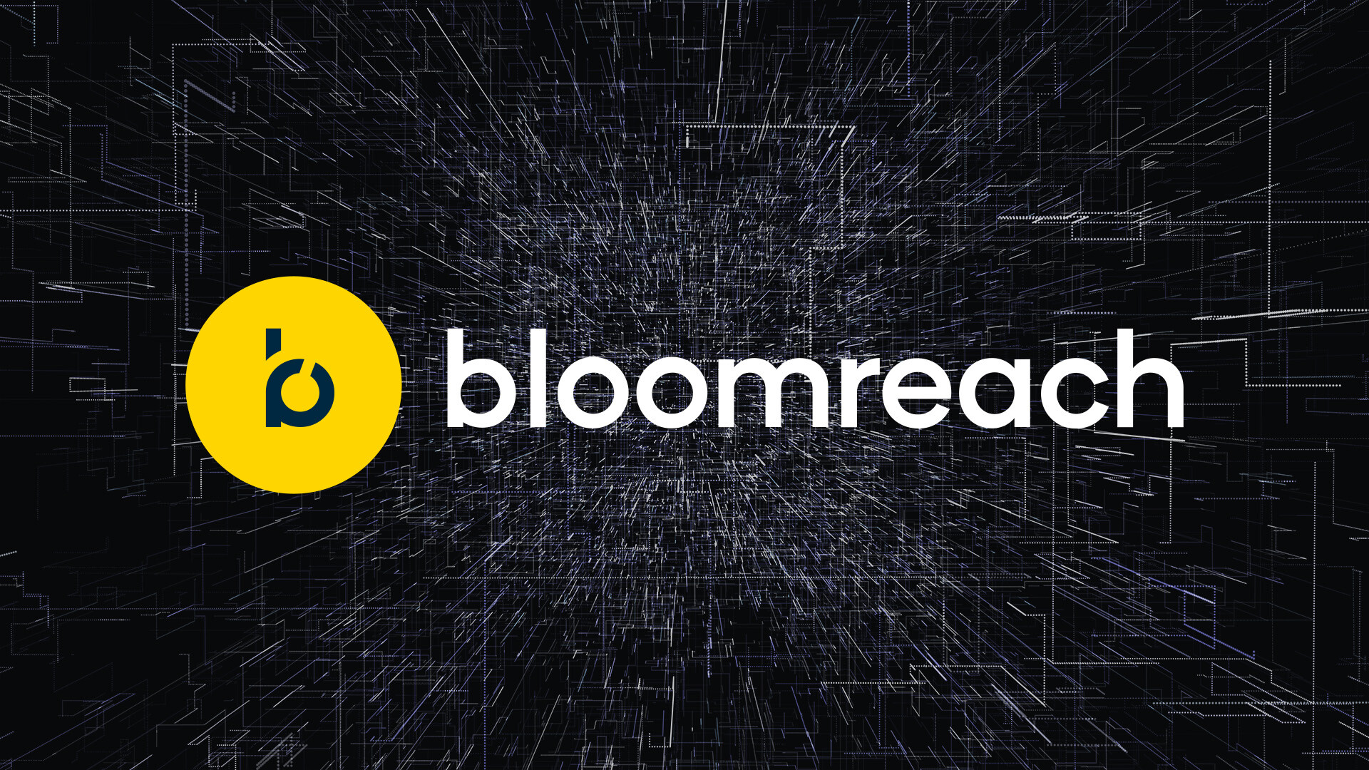 Bloomreach CDP: A New Kind of eCommerce Marketing Customer Data Platform